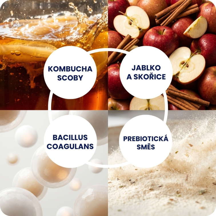 Kombucha Real Bubble Apple/Cinnamon