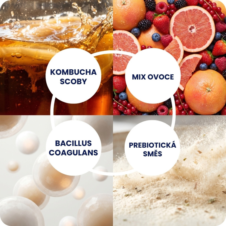 Degustační kombucha balíček