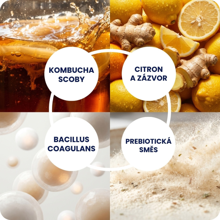 Kombucha Real Bubble Lemon/Ginger