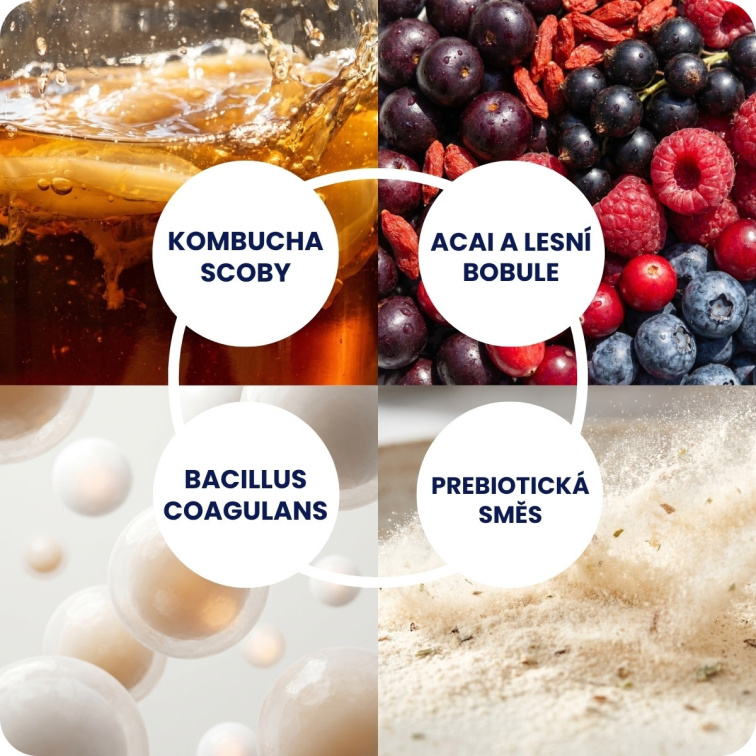 Kombucha Real Bubble Berry Mix
