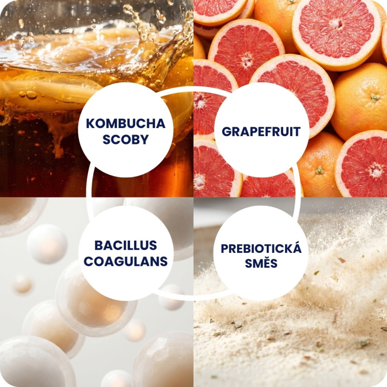 Kombucha Real Bubble Grapefruit