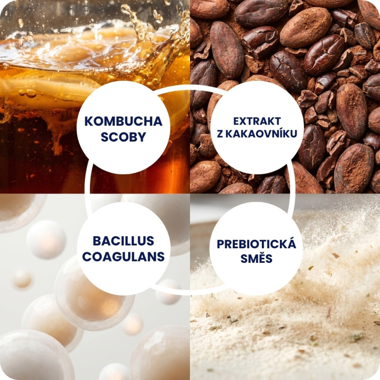 Kombucha Energy