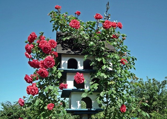 zahradní dekorace s růžemi